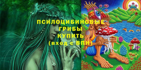прущие грибы Алексеевка