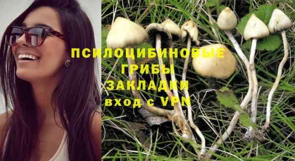 ГАЛЛЮЦИНОГЕННЫЕ ГРИБЫ Алексин