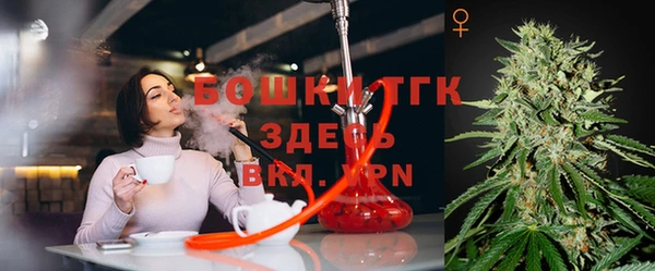 ГАЛЛЮЦИНОГЕННЫЕ ГРИБЫ Алексин